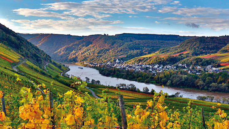 The Moselle in Autumn